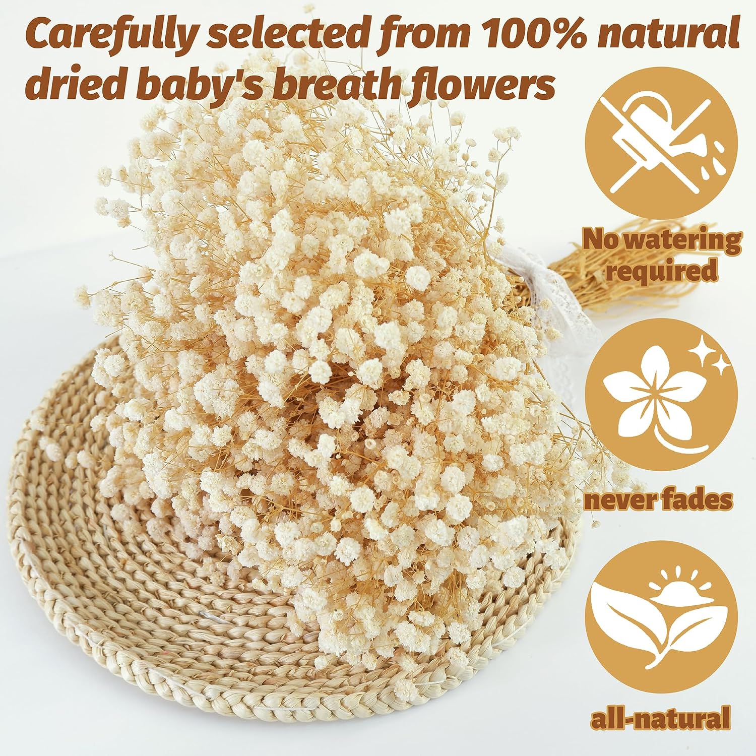 Natural Dried Baby's Breath Fl - Art Craft 2 Year Olds ulasan dan harga