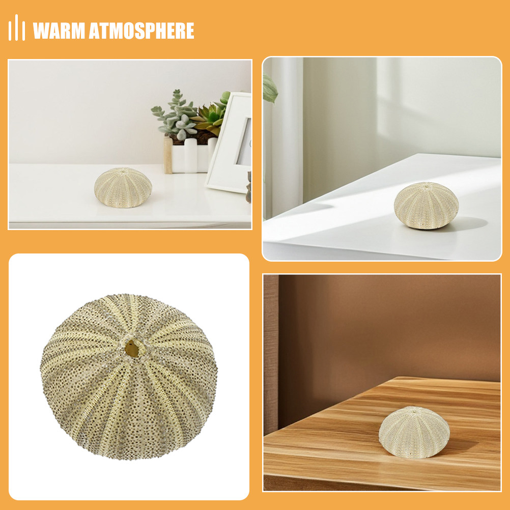 18Pcs Urchin Shells Vase Fille - Art And Craft Nature ulasan dan harga