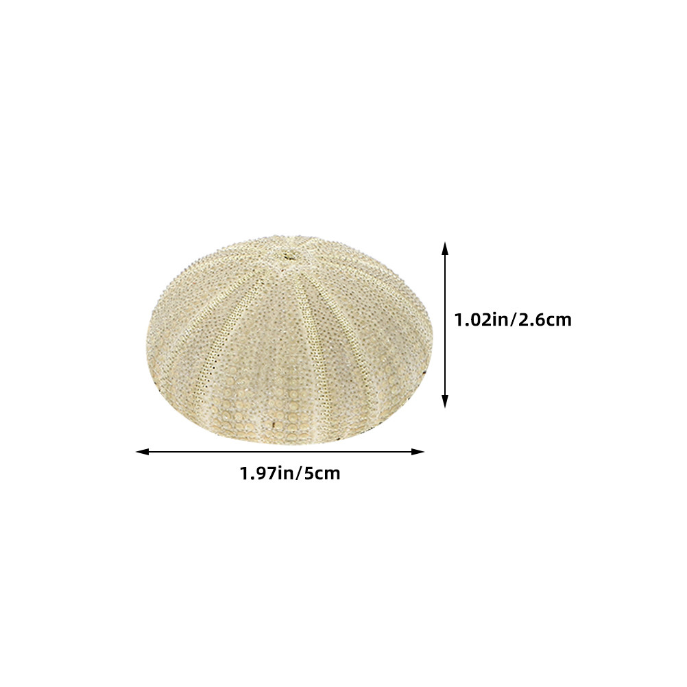 18Pcs Urchin Shells Vase Fille - Art And Craft Nature ulasan dan harga