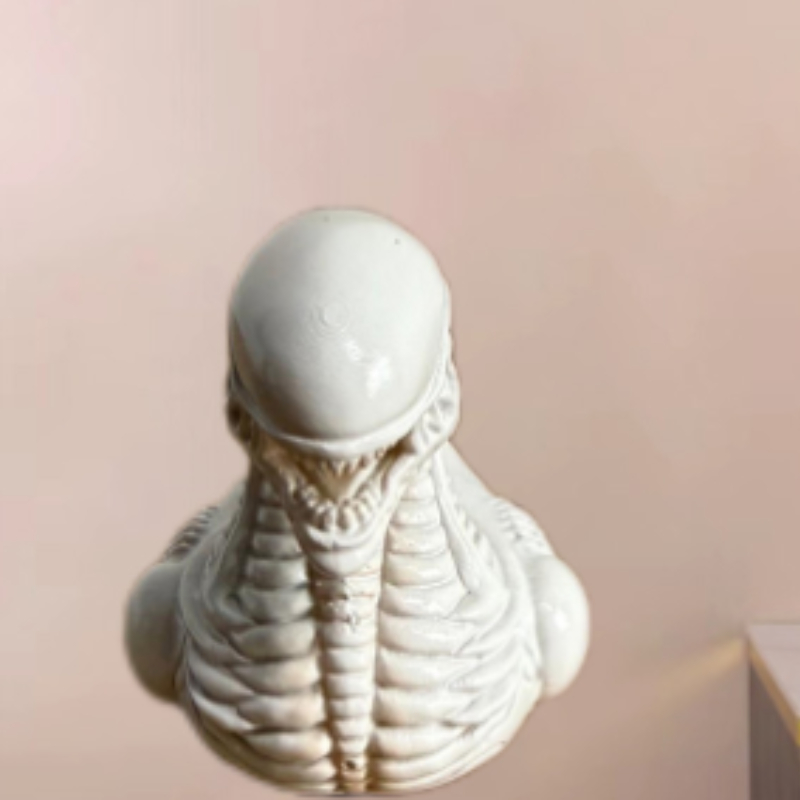 Fantastical and Creative Alien - Art Craft Duck ulasan dan harga