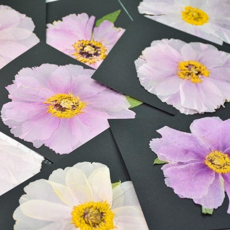 1pcs,Nature Big Size Peony Rea - Art Craft 2 Year Olds ulasan dan harga