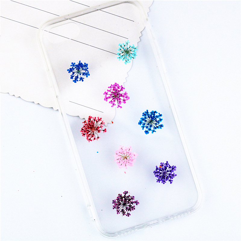 12/24Pcs Pressed Flower Snowdr - Art Craft 2 Year Olds ulasan dan harga