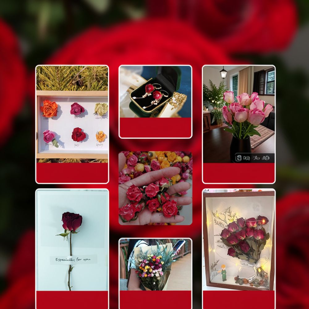 Natural Dried Rose Flower Bouq - Art And Craft Nature ulasan dan harga